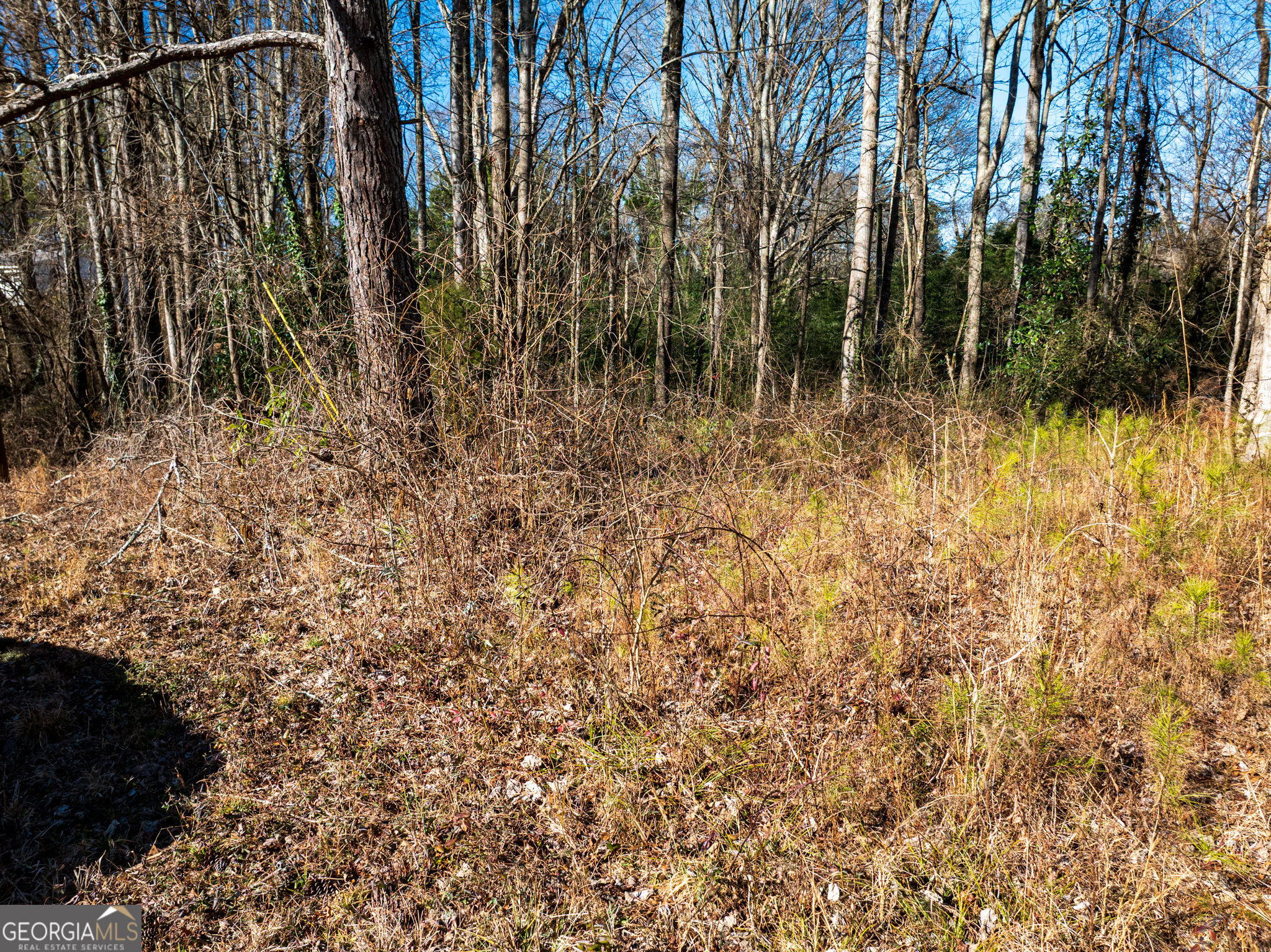 0 Tallapoosa Street Buchanan, GA 30113 - Photo 5 of 19 a view of backyard with green space
