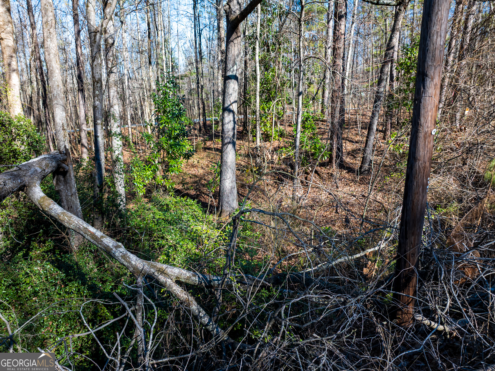 0 Tallapoosa Street Buchanan, GA 30113 - Photo 6 of 19 a view of a garden with plants