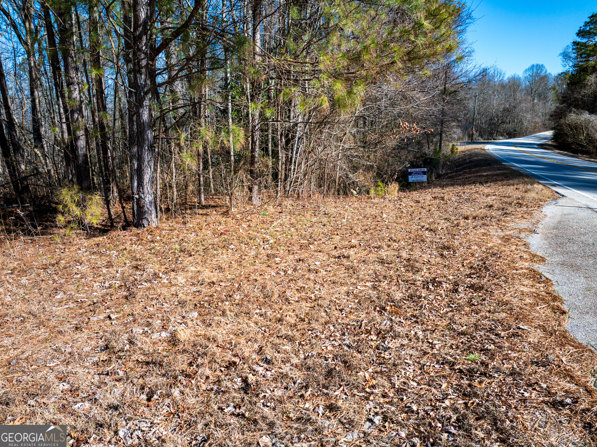 0 Tallapoosa Street Buchanan, GA 30113 - Photo 7 of 19 a view of a yard with trees