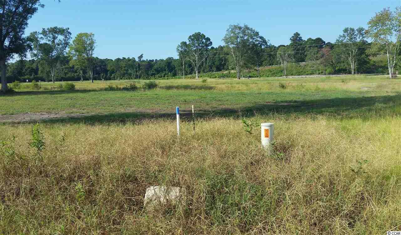 Lot 1 Math Place Little River, SC 29566 - Photo 1 of 1 Gallery Image 1