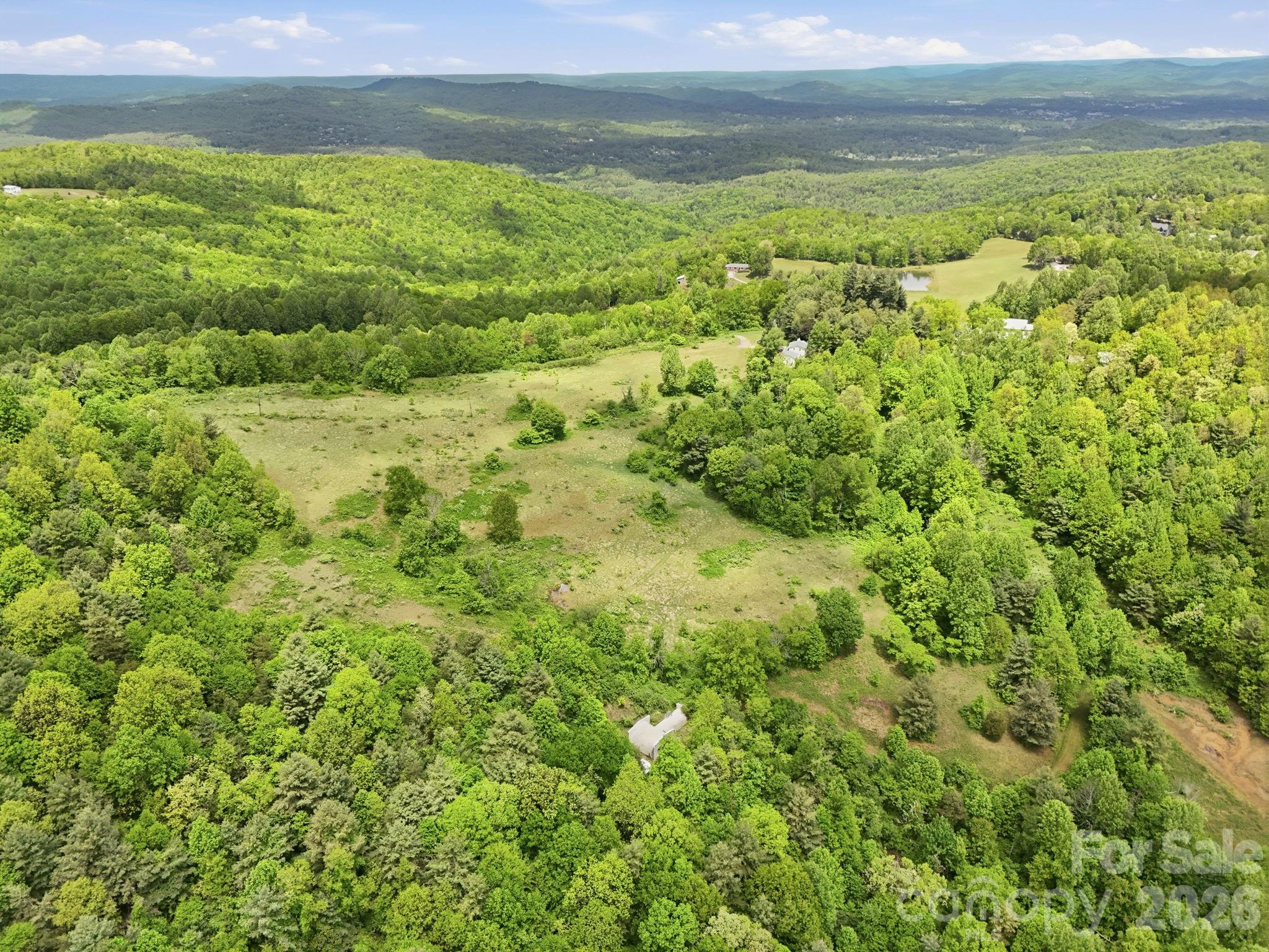 4105 Pinnacle Mountain Road Zirconia, NC 28790 - Photo 3 of 23 a view of yard with ocean view