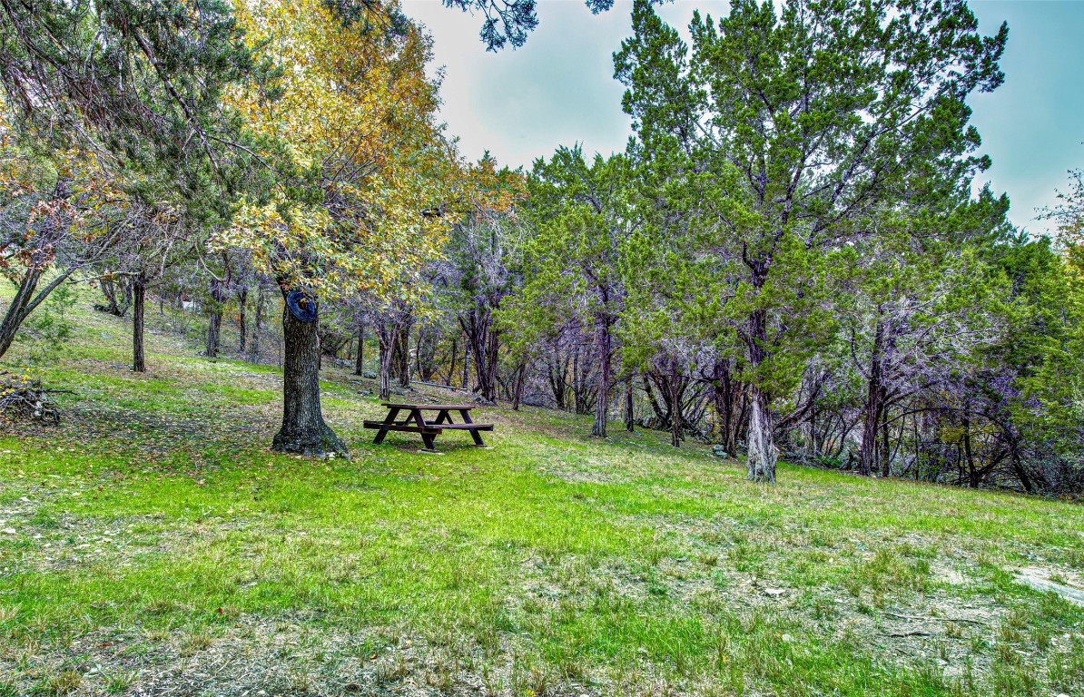 5016 Bob Wire Road Spicewood, TX 78669 - Photo 11 of 40