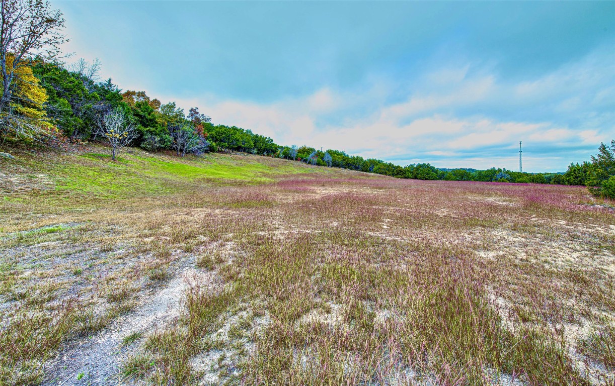 5016 Bob Wire Road Spicewood, TX 78669 - Photo 19 of 40