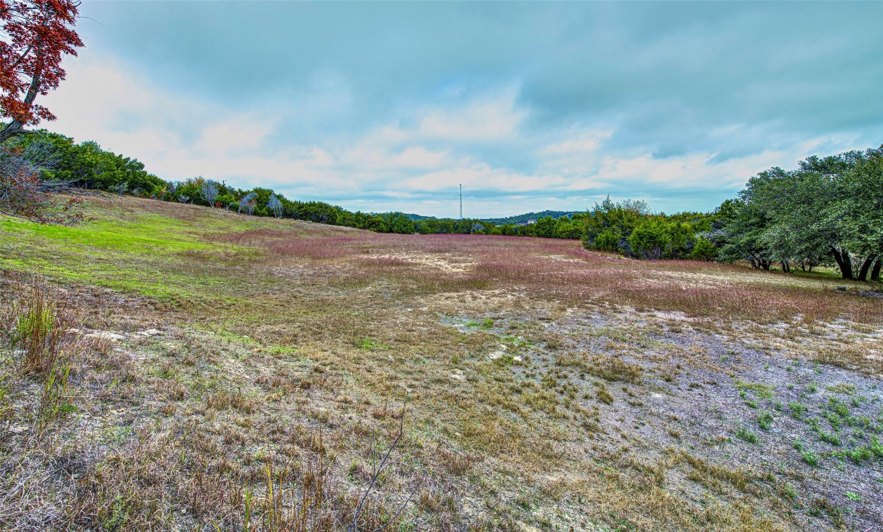 5016 Bob Wire Road Spicewood, TX 78669 - Photo 3 of 40