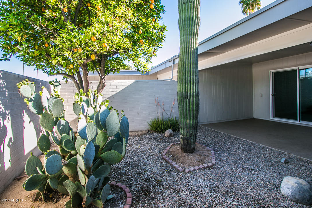 10020 West Royal Oak Road, Unit L Sun City, AZ 85351 - Photo 26 of 31 09441- 10020 W Royal Oak Rd L AZ- Candi-