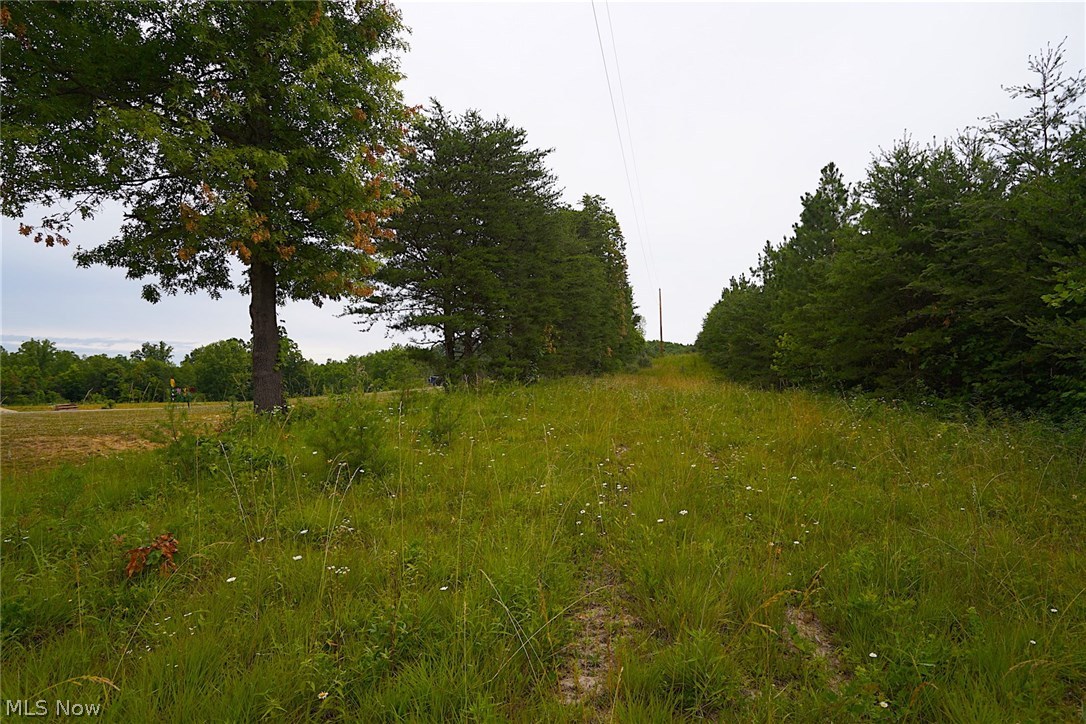 Ellis Run Road Cutler, OH 45724 - Photo 2 of 10 Gallery Image 2
