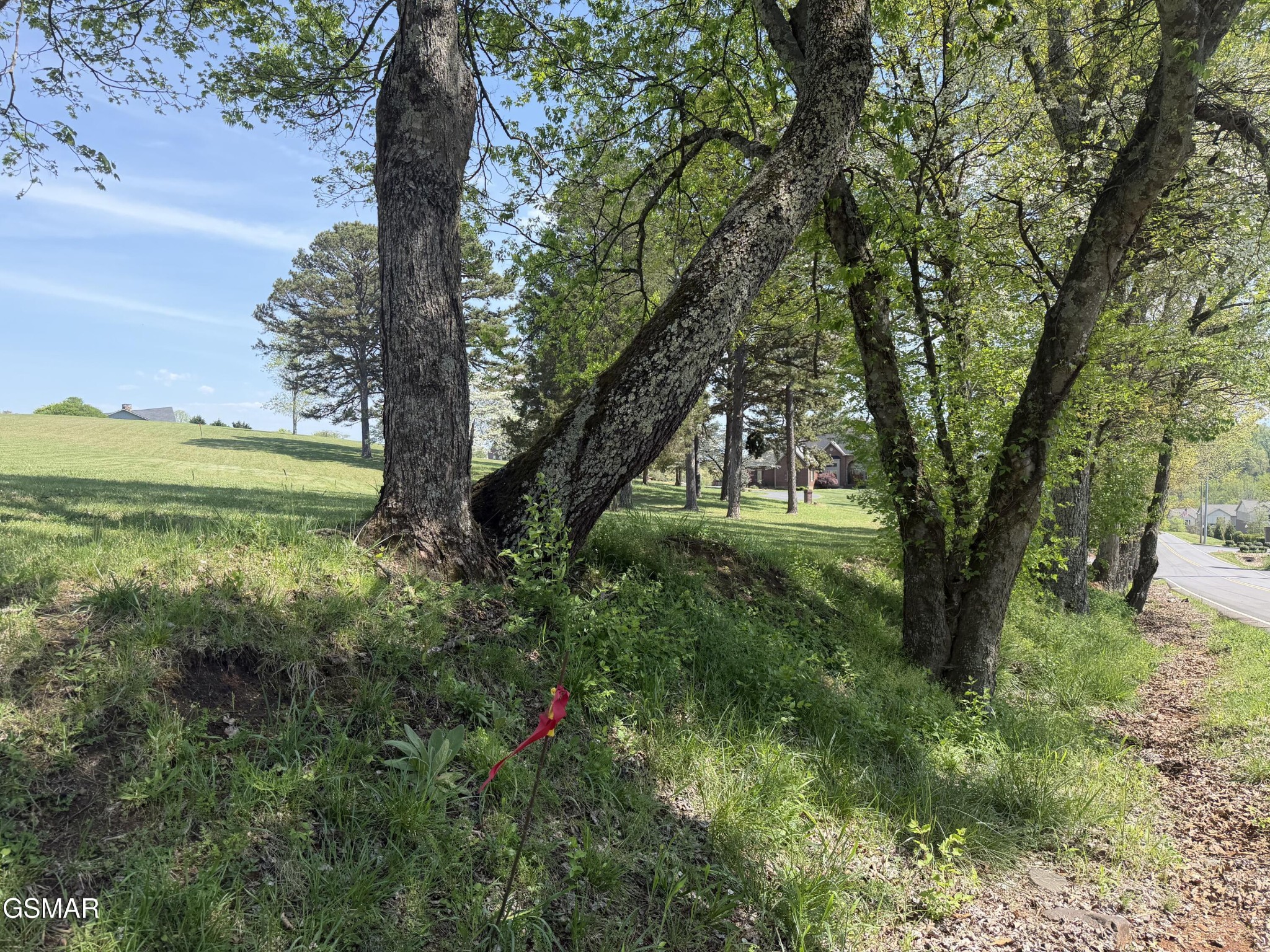13 Kyker Ferry Road Kodak, TN 37764 - Photo 9 of 13