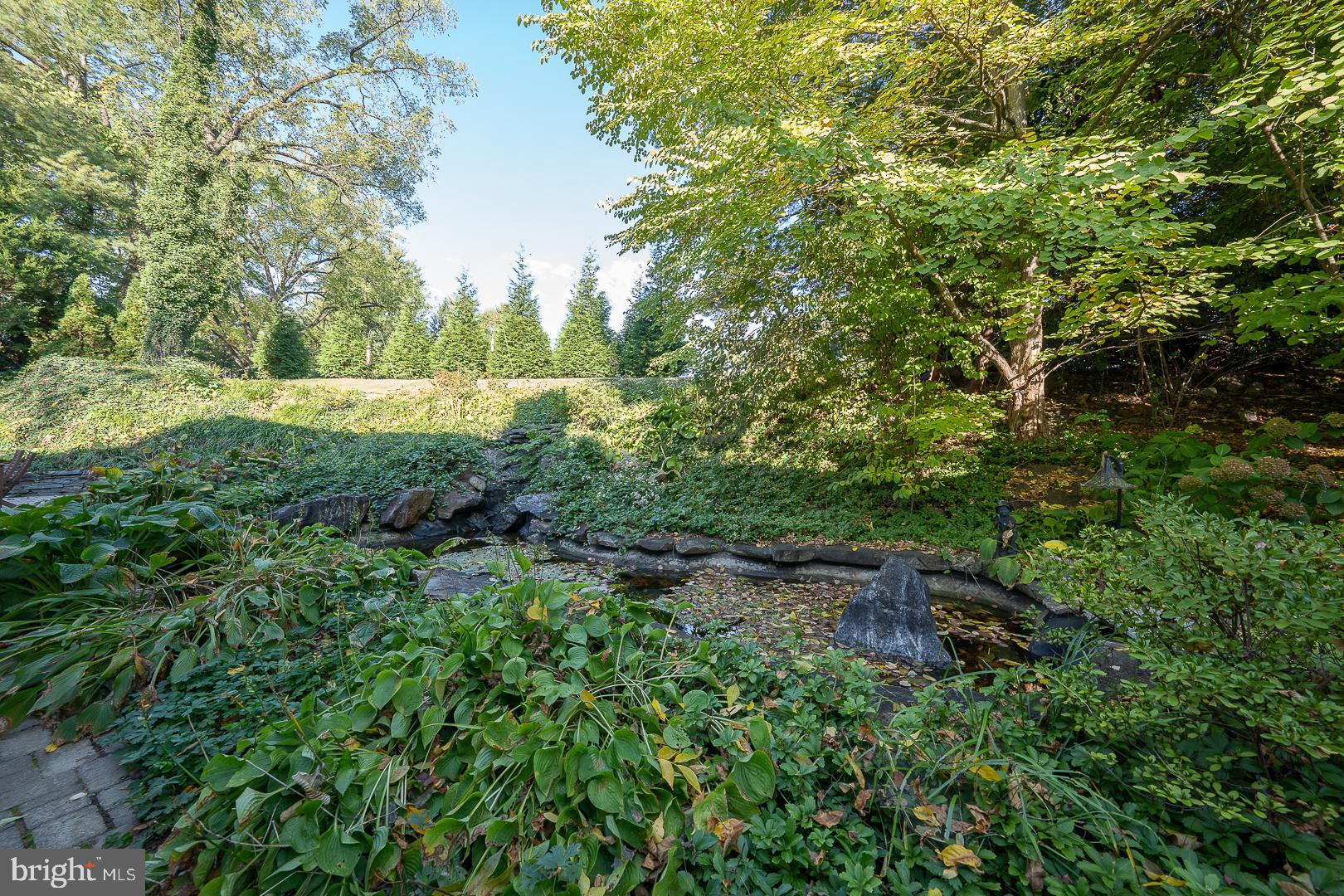 318 Chamounix Road Wayne, PA 19087 - Photo 53 of 55 a view of a lush green forest