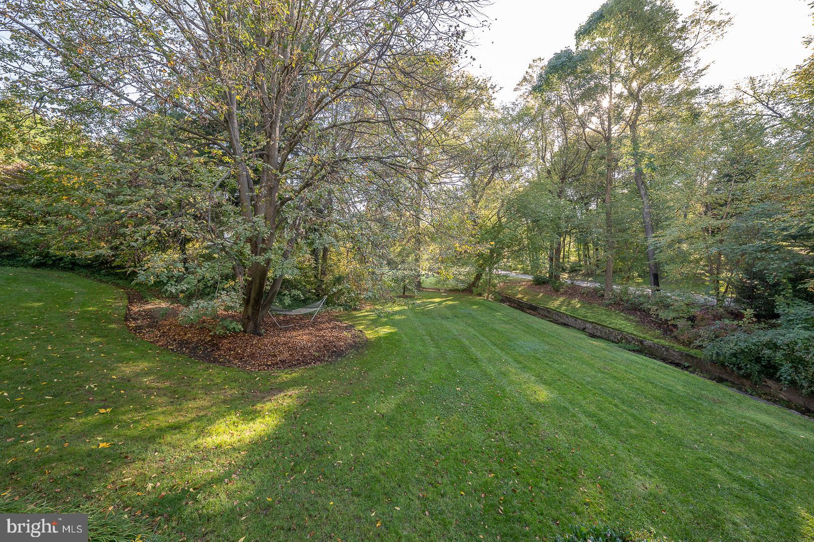 318 Chamounix Road Wayne, PA 19087 - Photo 54 of 55 a view of a yard with a tree