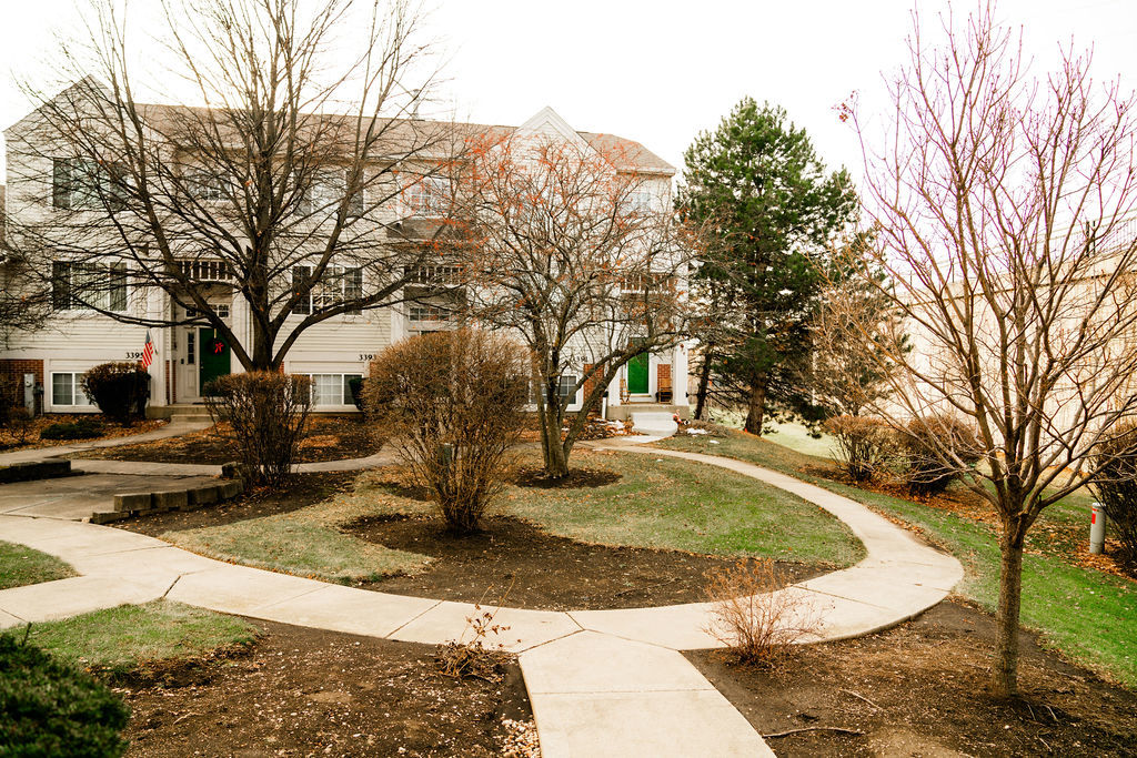 3389 Ravinia Circle Aurora, IL 60504 - Photo 36 of 39 a view of a yard with snow