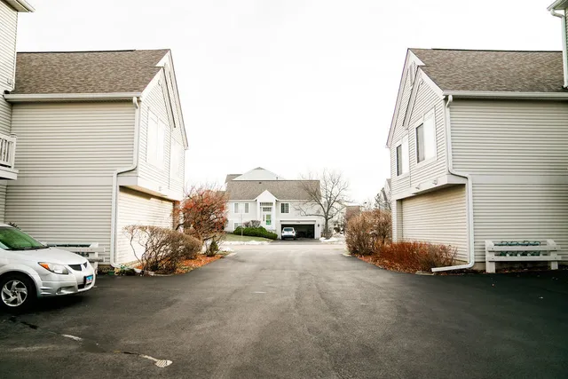 a view of a yard with plants and trees