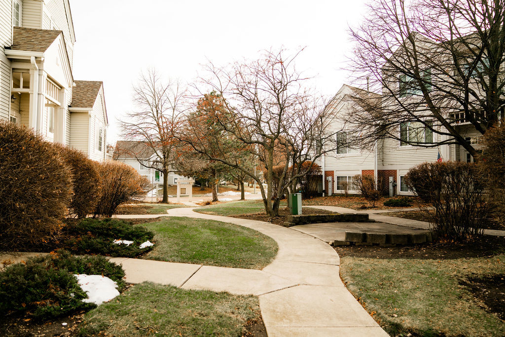 3389 Ravinia Circle Aurora, IL 60504 - Photo 39 of 39 a view of a yard with plants and trees