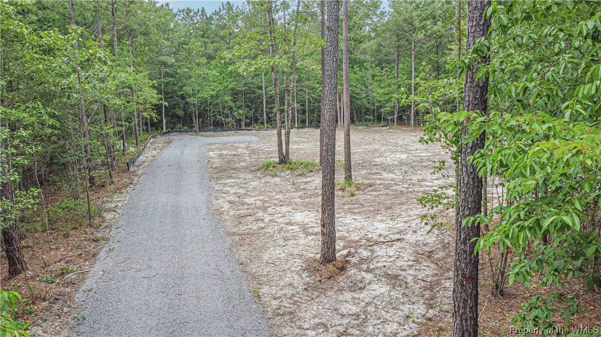 0 Spring Farm Road Dendron, VA 23839 - Photo 7 of 13 Gallery Image 7