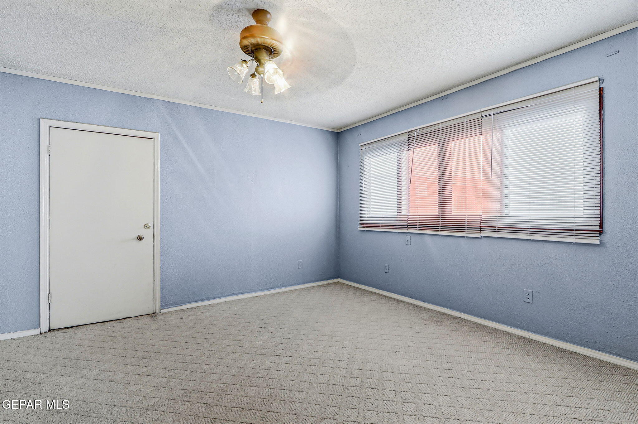 210 Quesito Street Clint, TX 79836 - Photo 15 of 22 IMG_0110