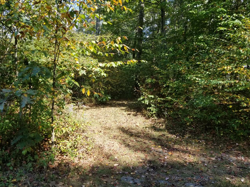 Tbd Carrollview Road, Unit TRACT #2 Fancy Gap, VA 24328 - Photo 1 of 5 Gallery Image 1
