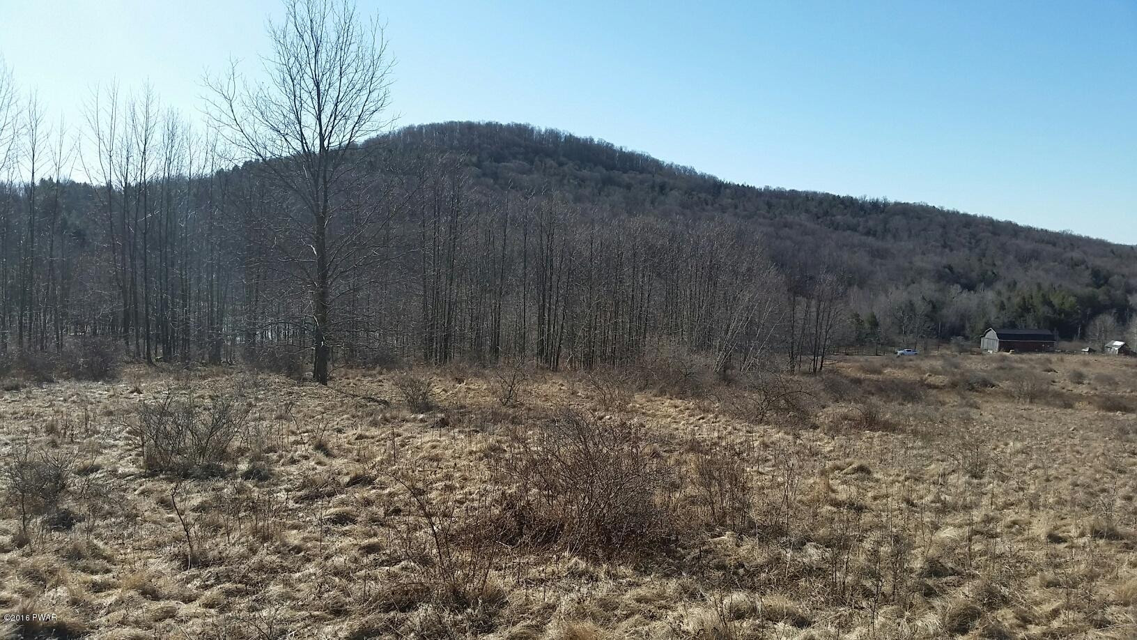 1297 Red Abbott Road Union Dale, PA 18470 - Photo 6 of 11