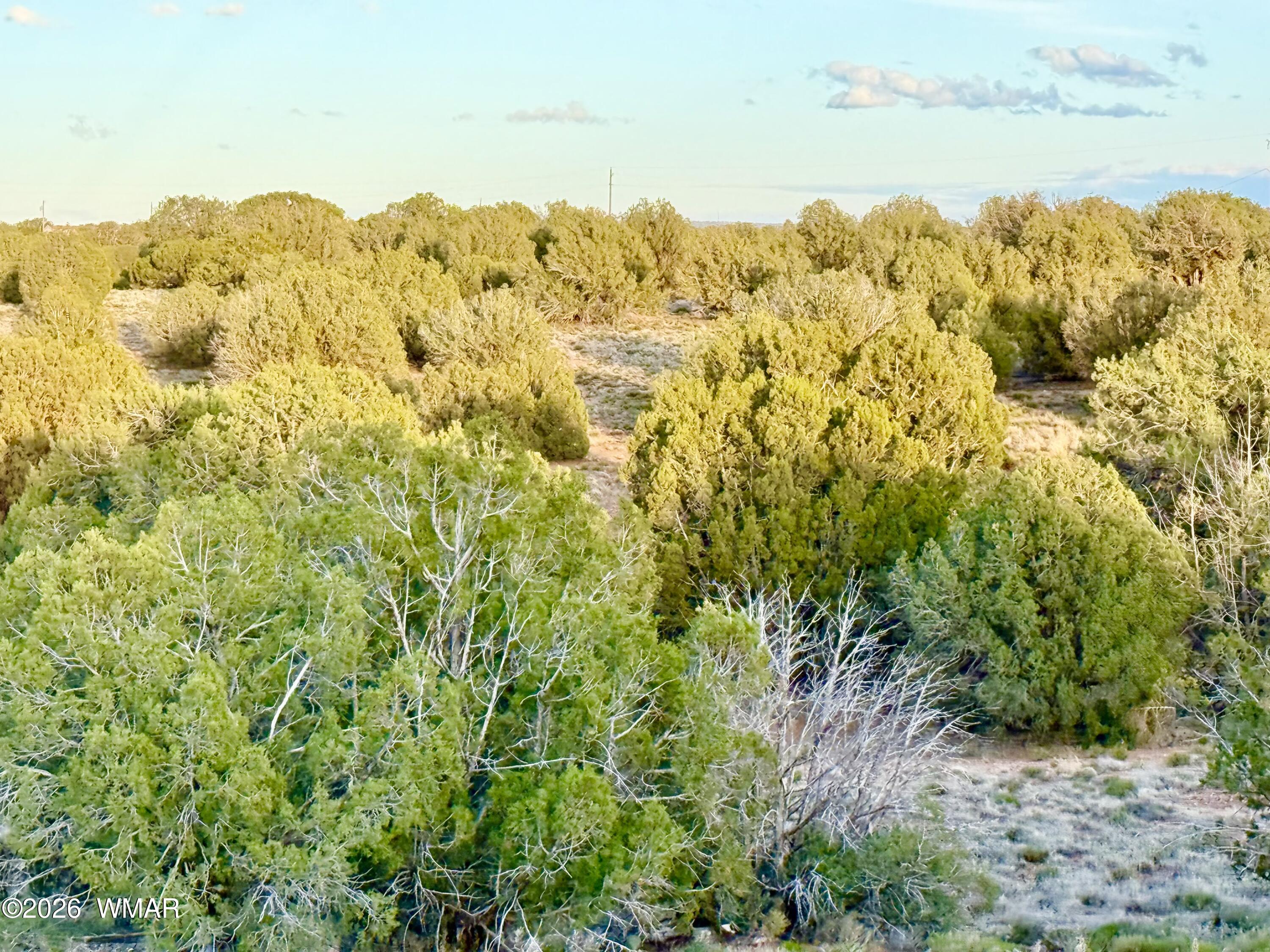 4428 Colt Road Snowflake, AZ 85937 - Photo 14 of 22 IMG_6174