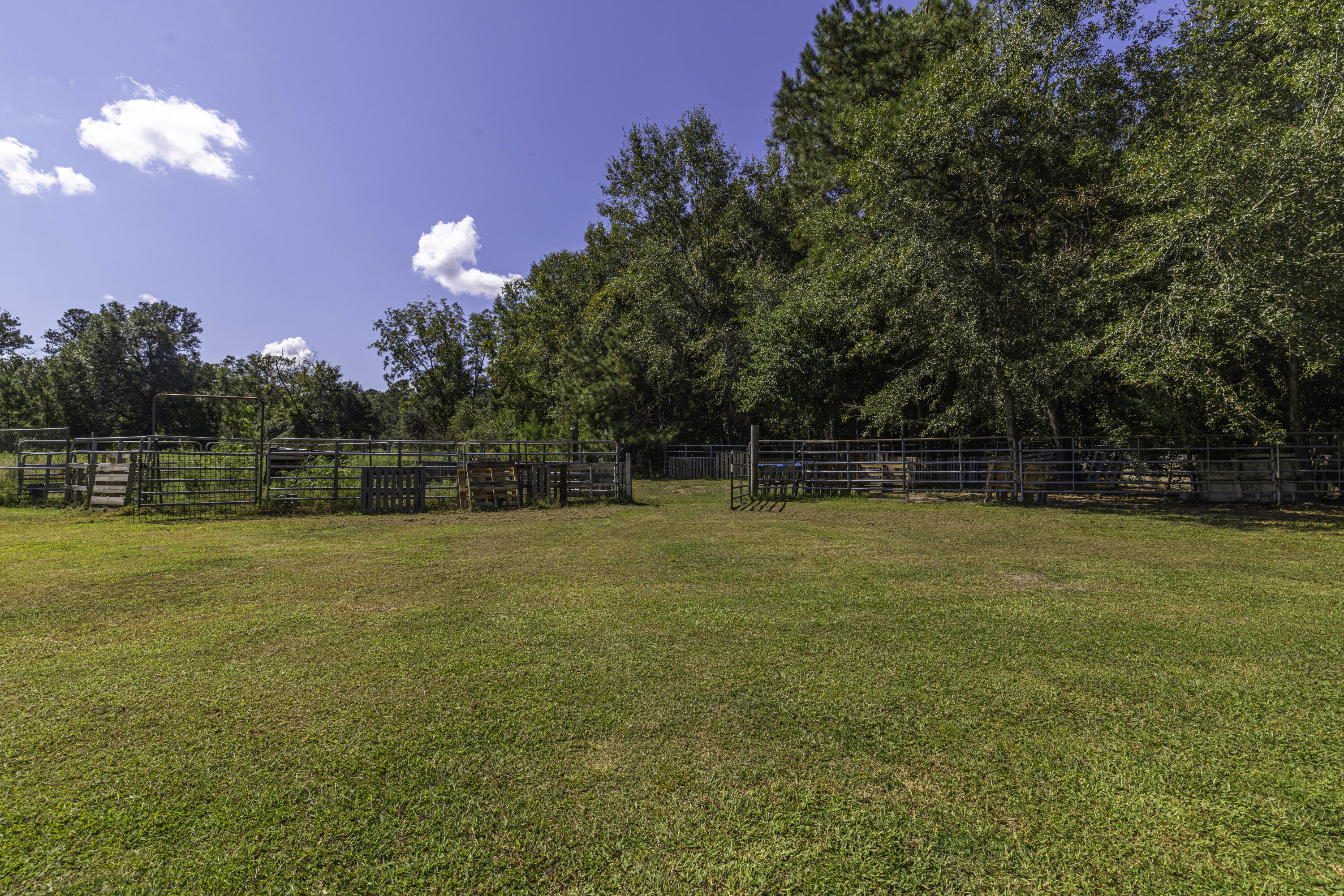 1014 Fire Hill Road Walterboro, SC 29488 - Photo 135 of 162 Plenty of Space for a Barn!