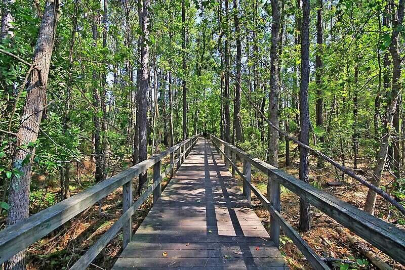 4970 Sound View Drive Mount Pleasant, SC 29466 - Photo 95 of 98 Walking Trails
