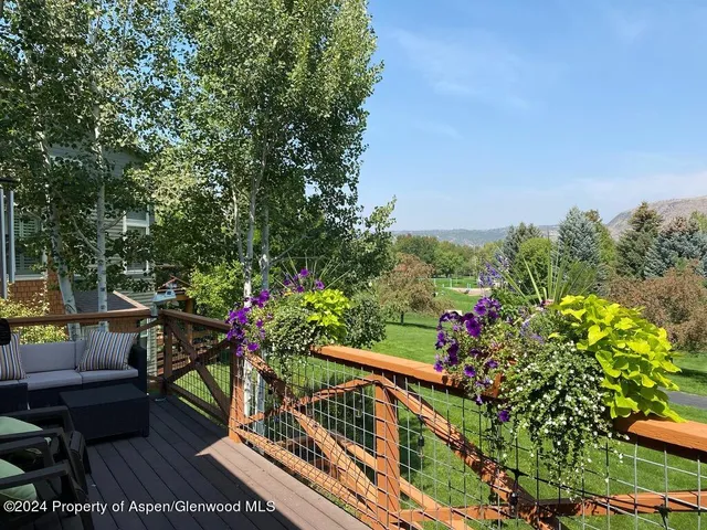 a view of a potted flower in the corridor