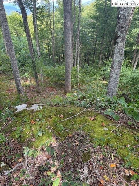 Heritage Ridge Road, Unit H3 Elk Park, NC 28622 - Photo 5 of 28 Gallery Image 5