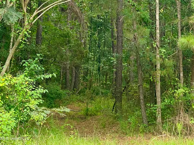 $115,000 | 3185 Jackson Landing Road, Picayune, MS 39466