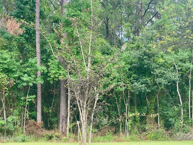 $115,000 | 3185 Jackson Landing Road, Picayune, MS 39466