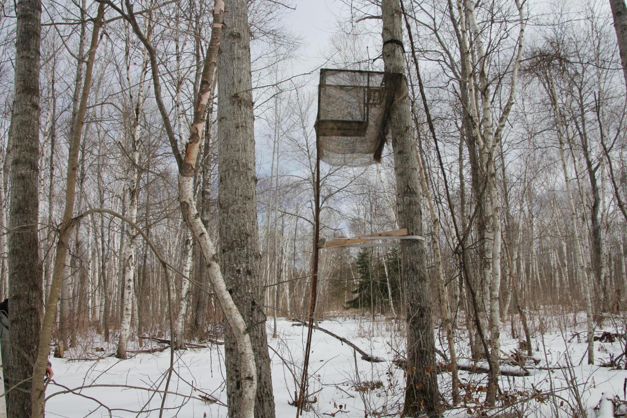 40-acres Tolan Road Spruce, MI 48762 - Photo 31 of 95 Gallery Image 31