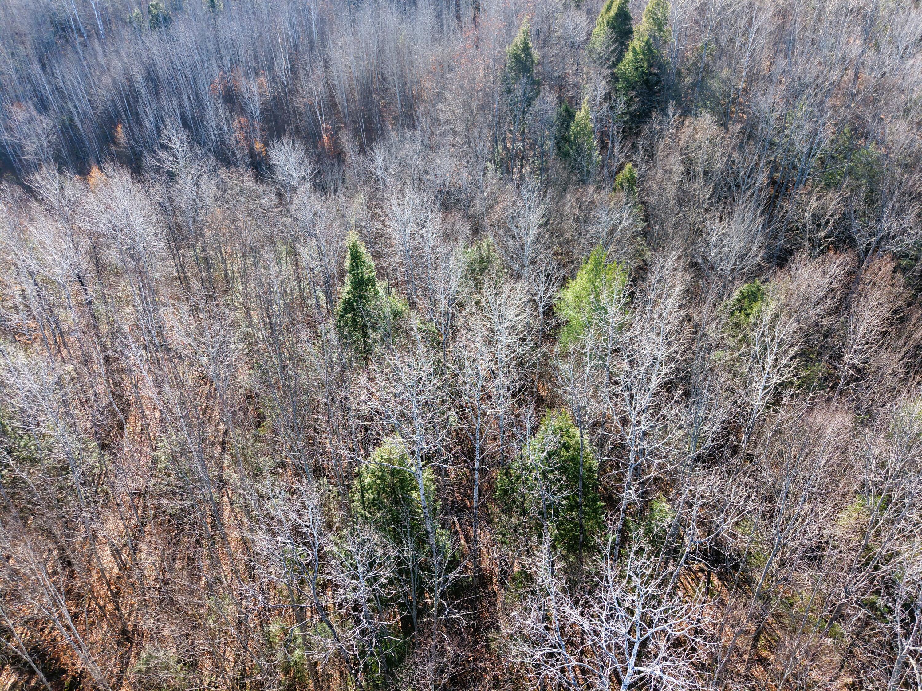 5 Pine Bluff Road Embden, ME 04958 - Photo 12 of 15 DJI_20251115111445_0019_D