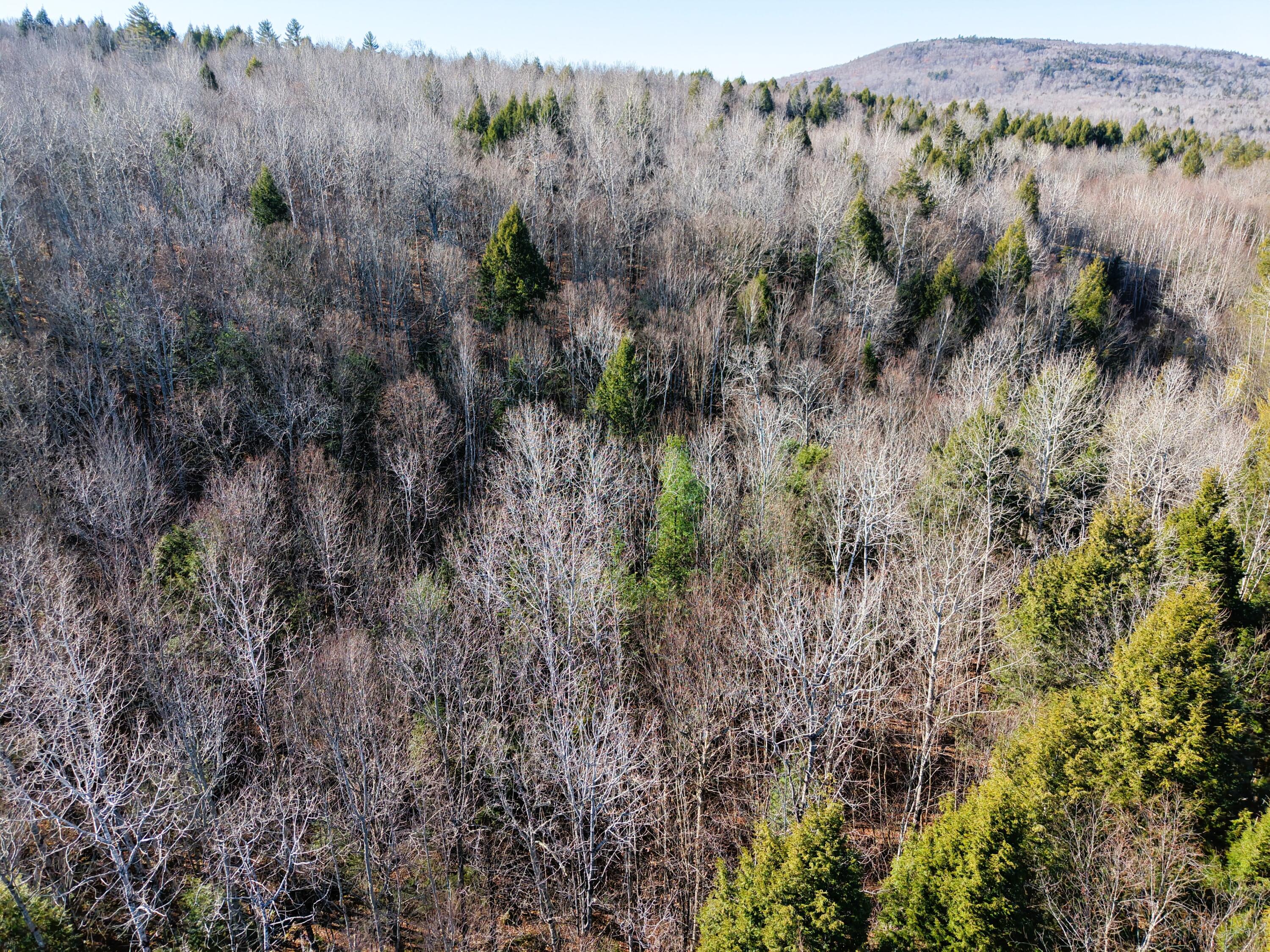 5 Pine Bluff Road Embden, ME 04958 - Photo 15 of 15 DJI_20251115111509_0022_D