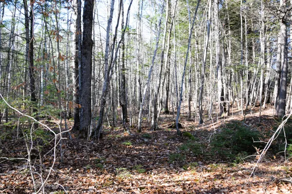 $45,000 | 5 Pine Bluff Road, Embden, ME 04958