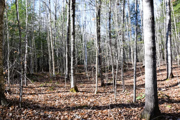 $45,000 | 5 Pine Bluff Road, Embden, ME 04958