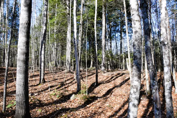 $45,000 | 5 Pine Bluff Road, Embden, ME 04958