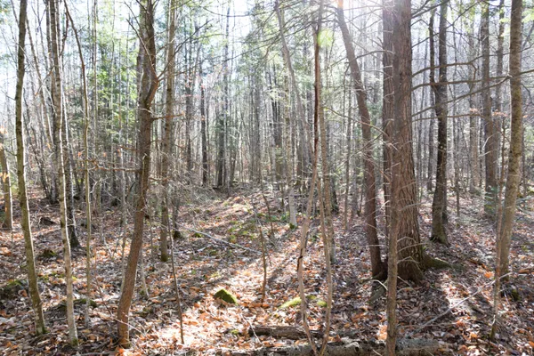 $45,000 | 5 Pine Bluff Road, Embden, ME 04958