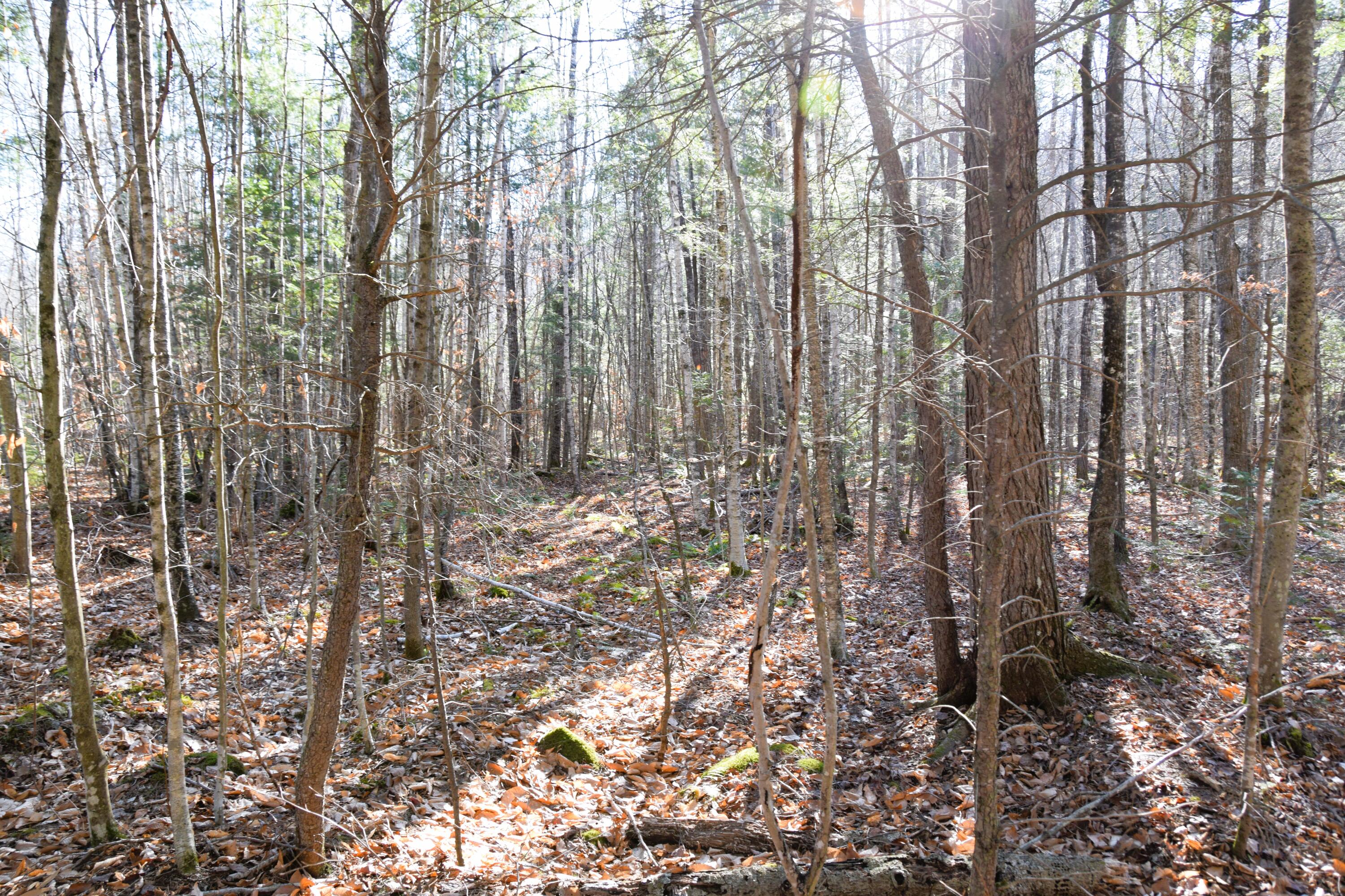 5 Pine Bluff Road Embden, ME 04958 - Photo 5 of 15 DSC_0042