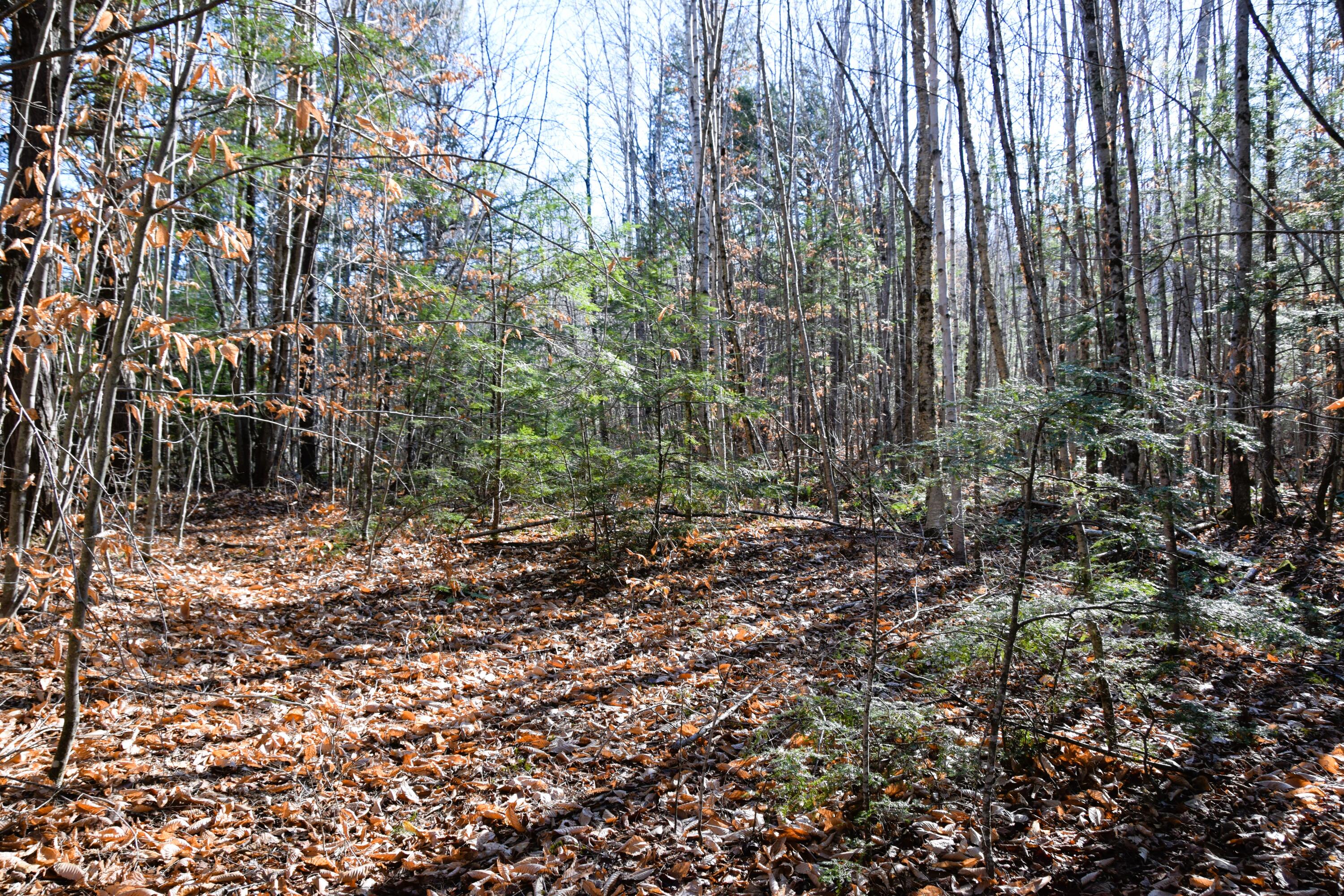 5 Pine Bluff Road Embden, ME 04958 - Photo 6 of 15 DSC_0038