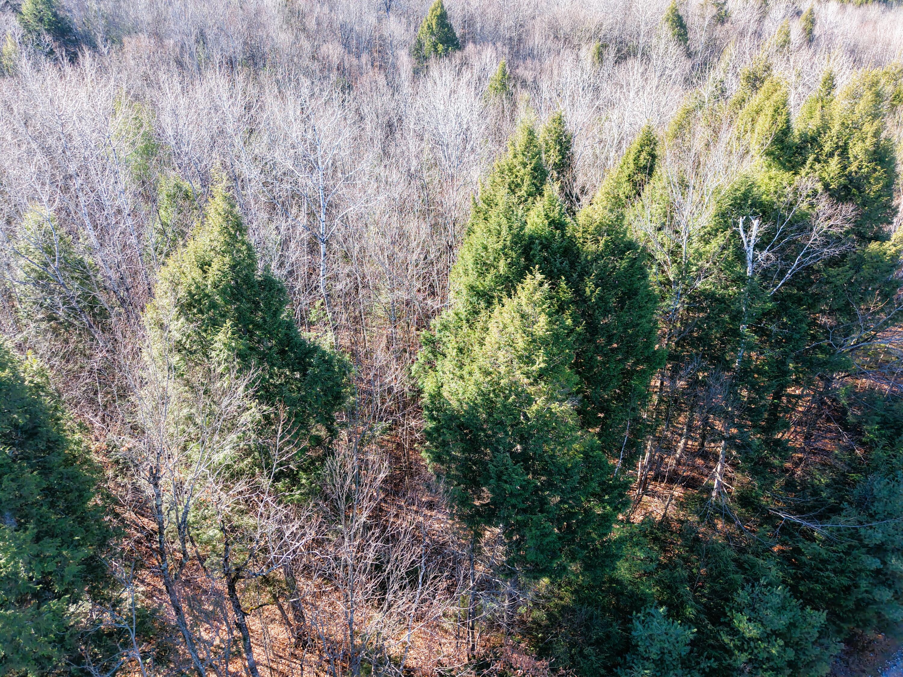 5 Pine Bluff Road Embden, ME 04958 - Photo 7 of 15 DJI_20251115111408_0014_D