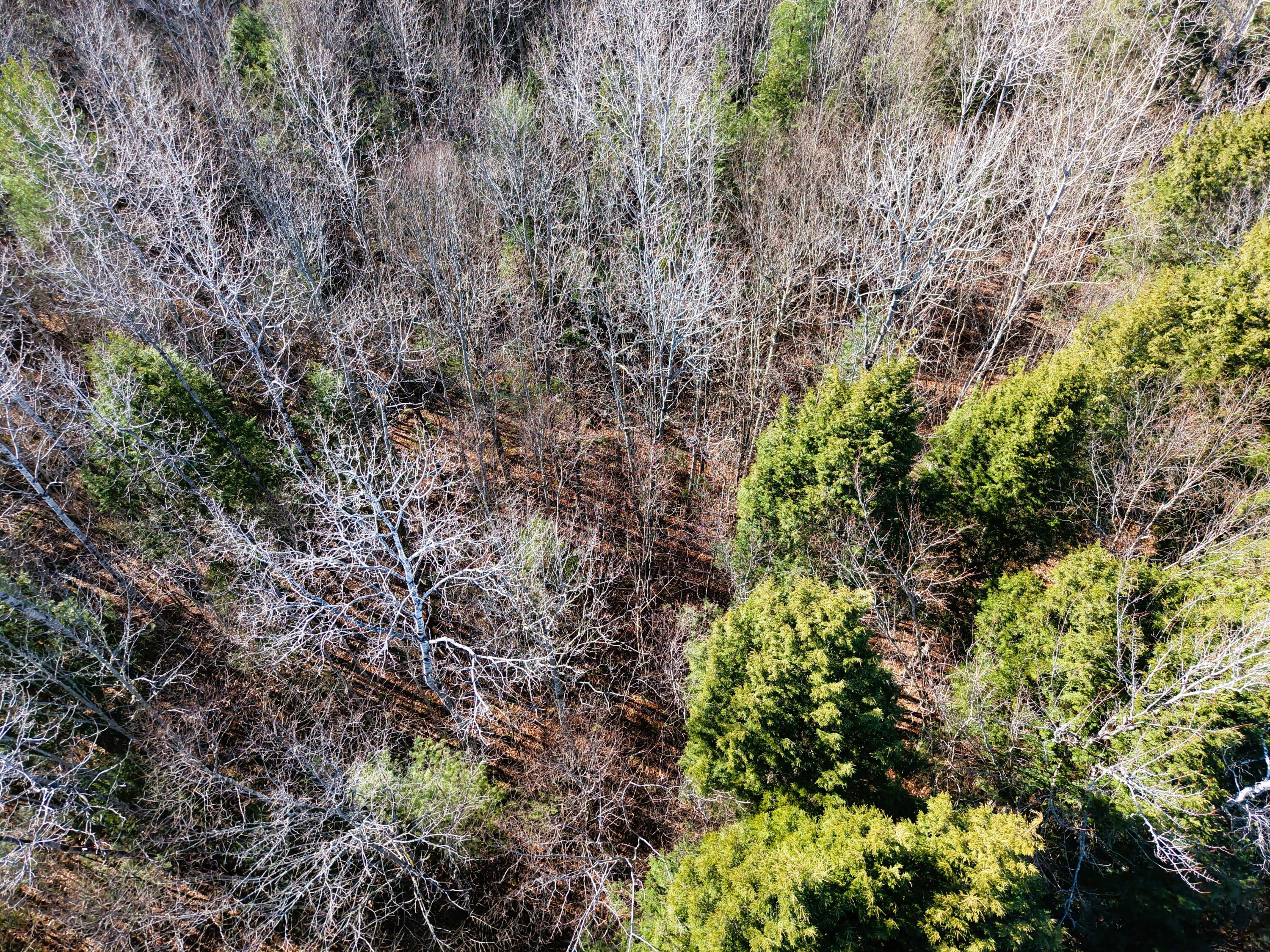 5 Pine Bluff Road Embden, ME 04958 - Photo 8 of 15 DJI_20251115111419_0015_D