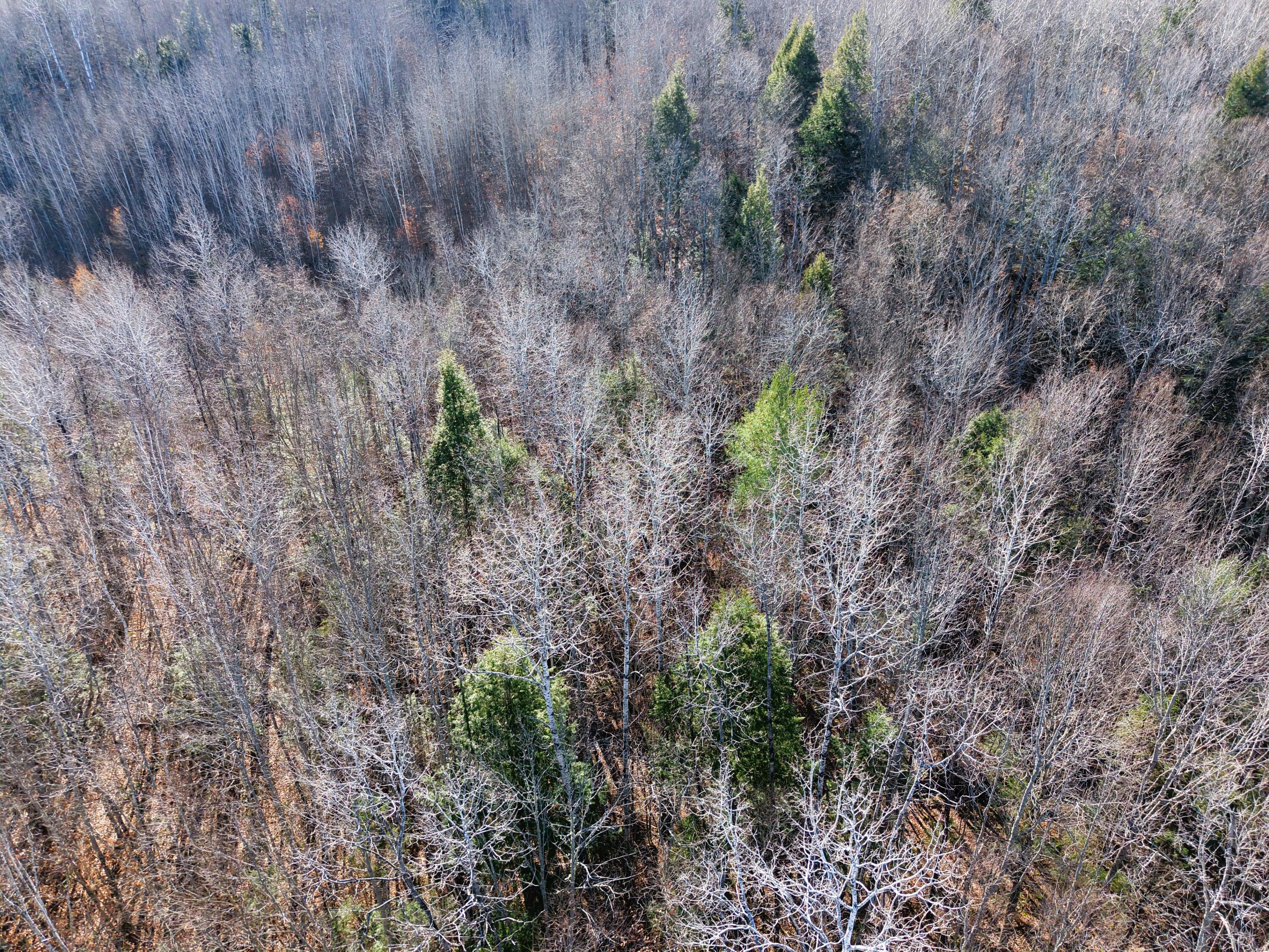 5 Pine Bluff Road Embden, ME 04958 - Photo 9 of 15 DJI_20251115111426_0016_D