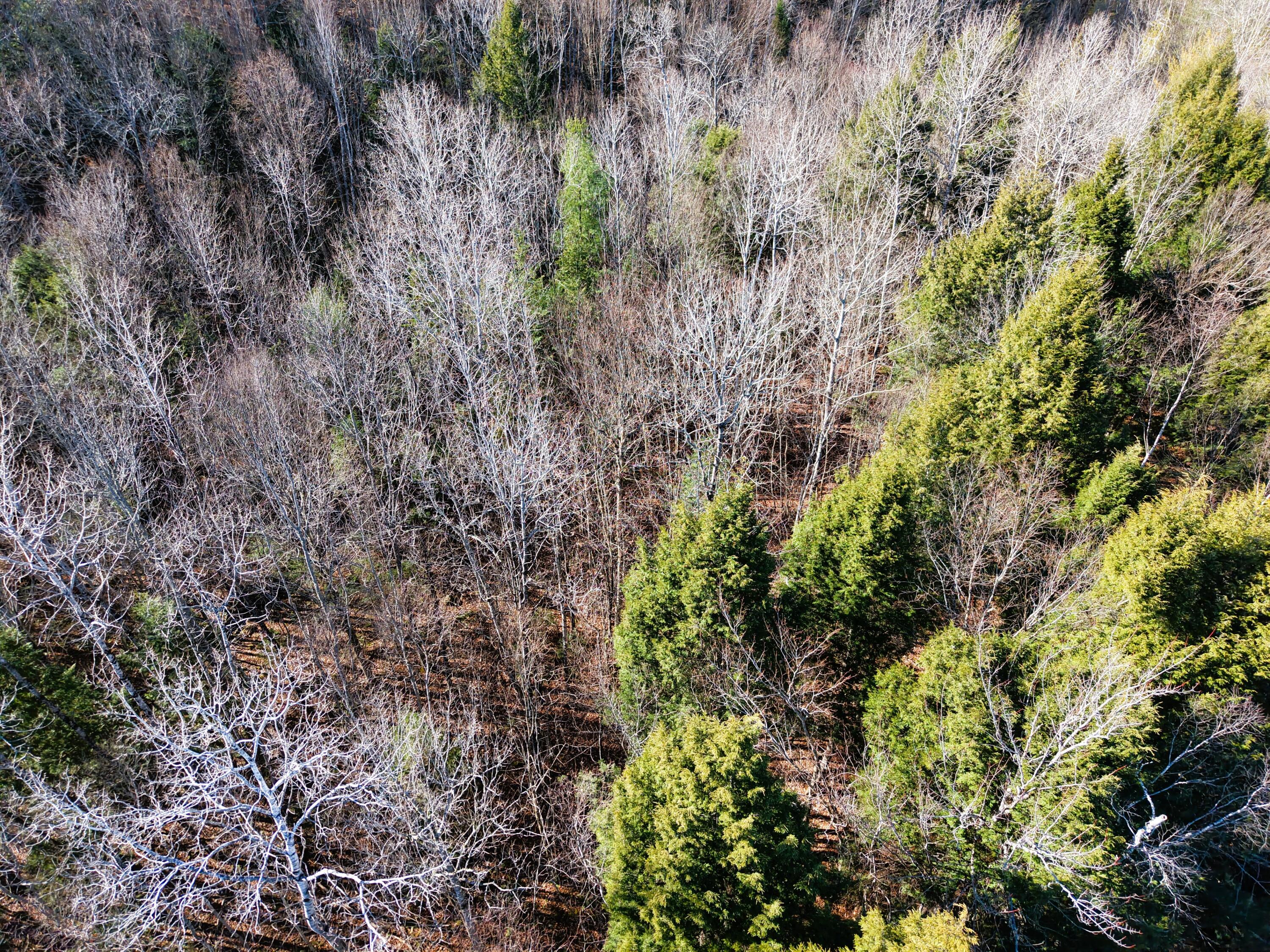 5 Pine Bluff Road Embden, ME 04958 - Photo 10 of 15 DJI_20251115111434_0017_D