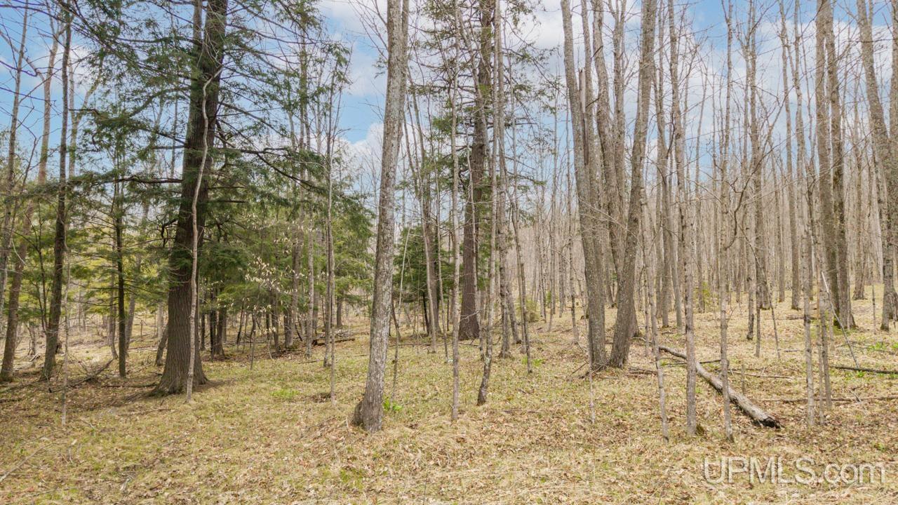 Tbd Hupp Road Vulcan, MI 49892 - Photo 1 of 12
