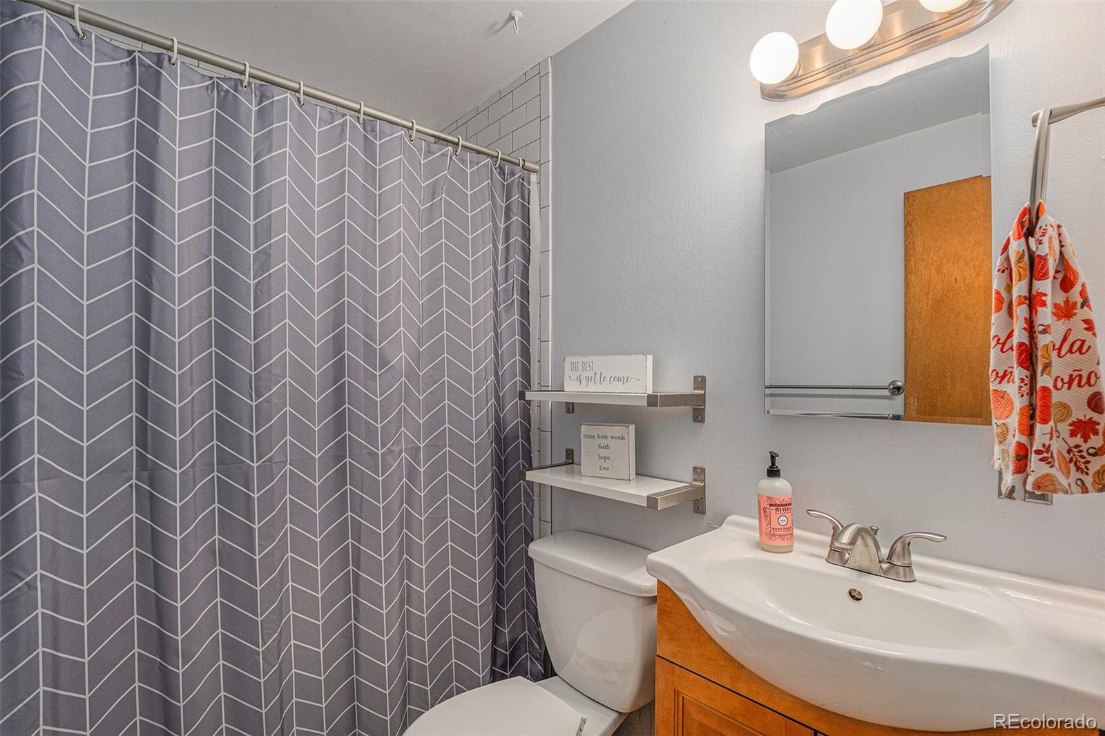 1377 South Oneida Street Denver, CO 80224 - Photo 9 of 24