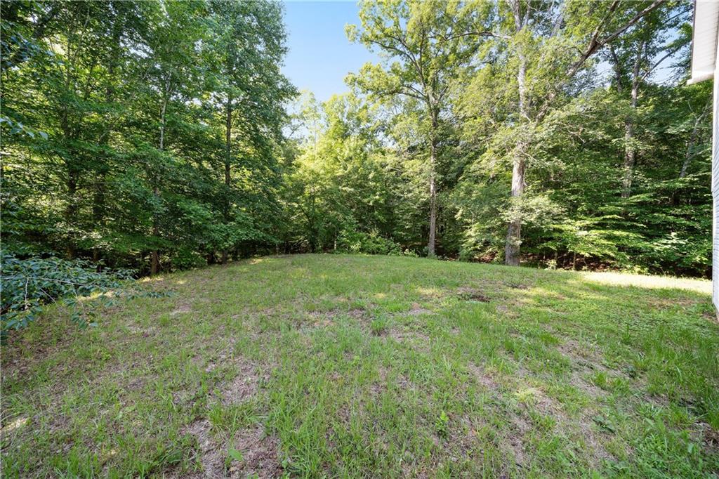 45 Lee Road Salem, AL 36874 - Photo 37 of 43 Gallery Image 37