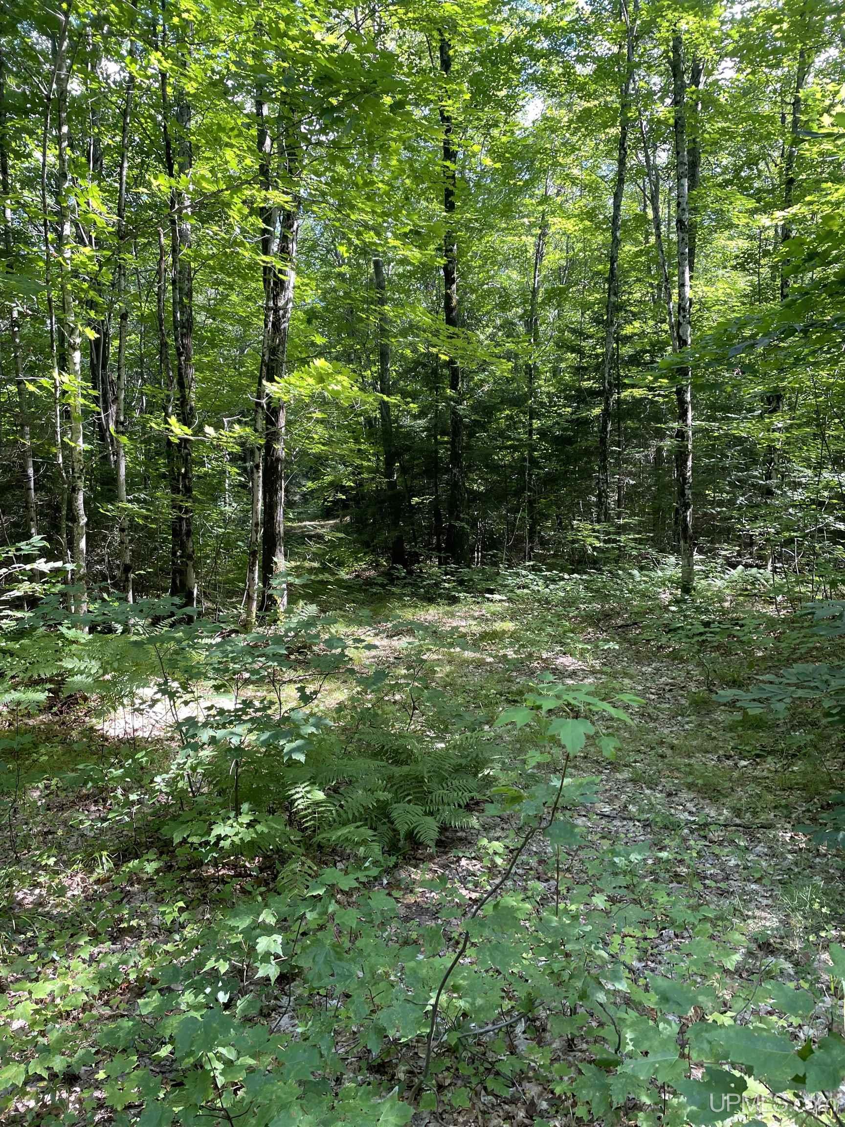 16 North 16 Mile Lake Road Munising, MI 49862 - Photo 61 of 69