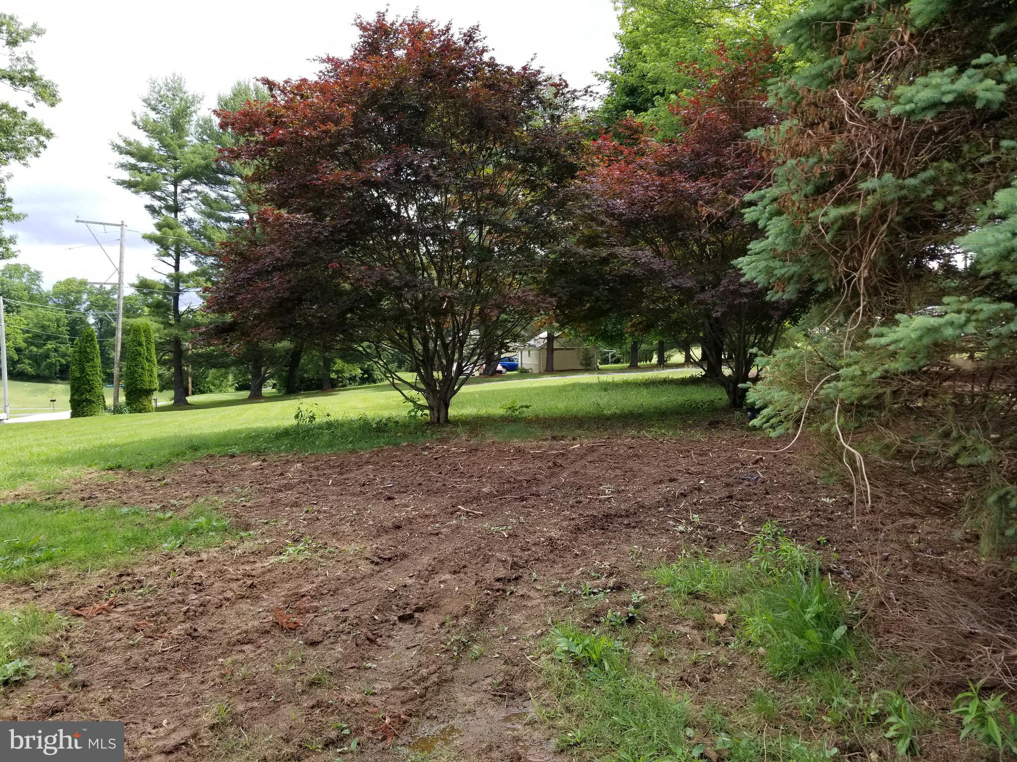 1113 Pinetown Road Lewisberry, PA 17339 - Photo 3 of 23 Mature Trees