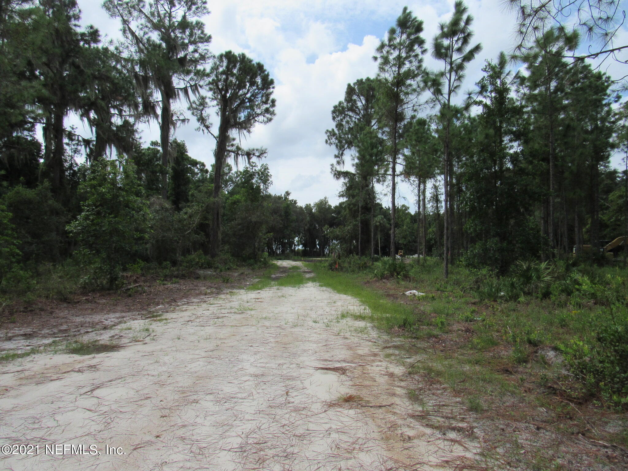 125 Atkins Road Georgetown, FL 32139 - Photo 45 of 49 IMG_7132