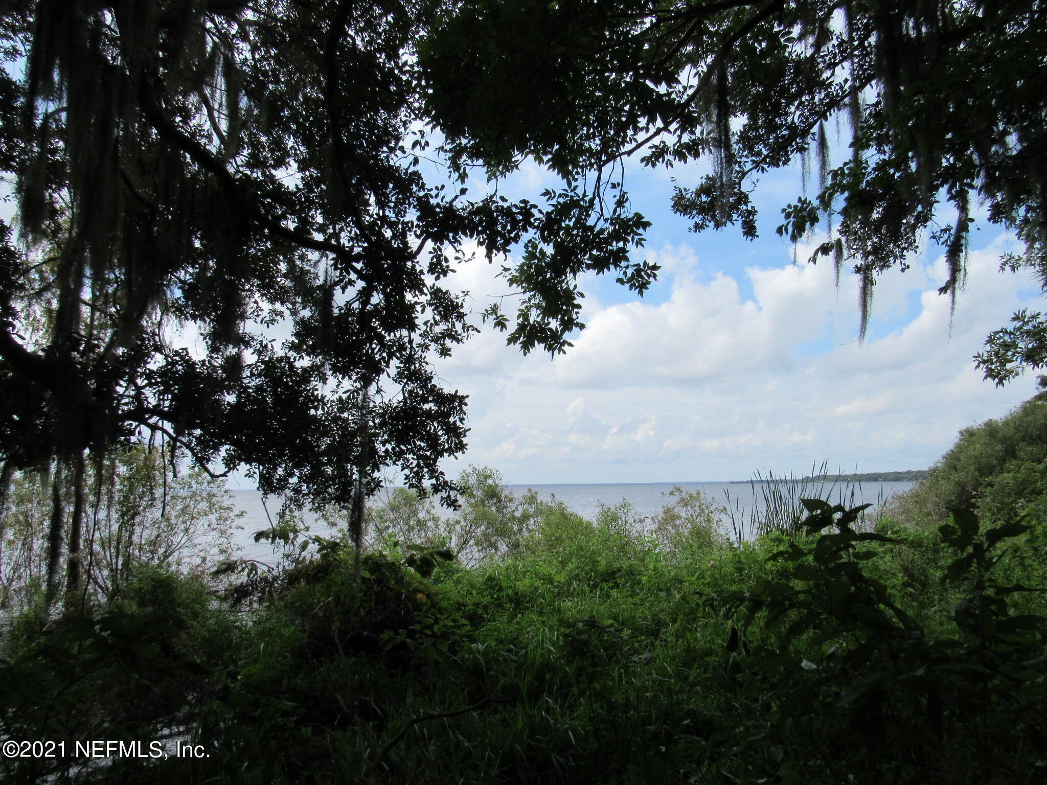 125 Atkins Road Georgetown, FL 32139 - Photo 6 of 49 IMG_7158