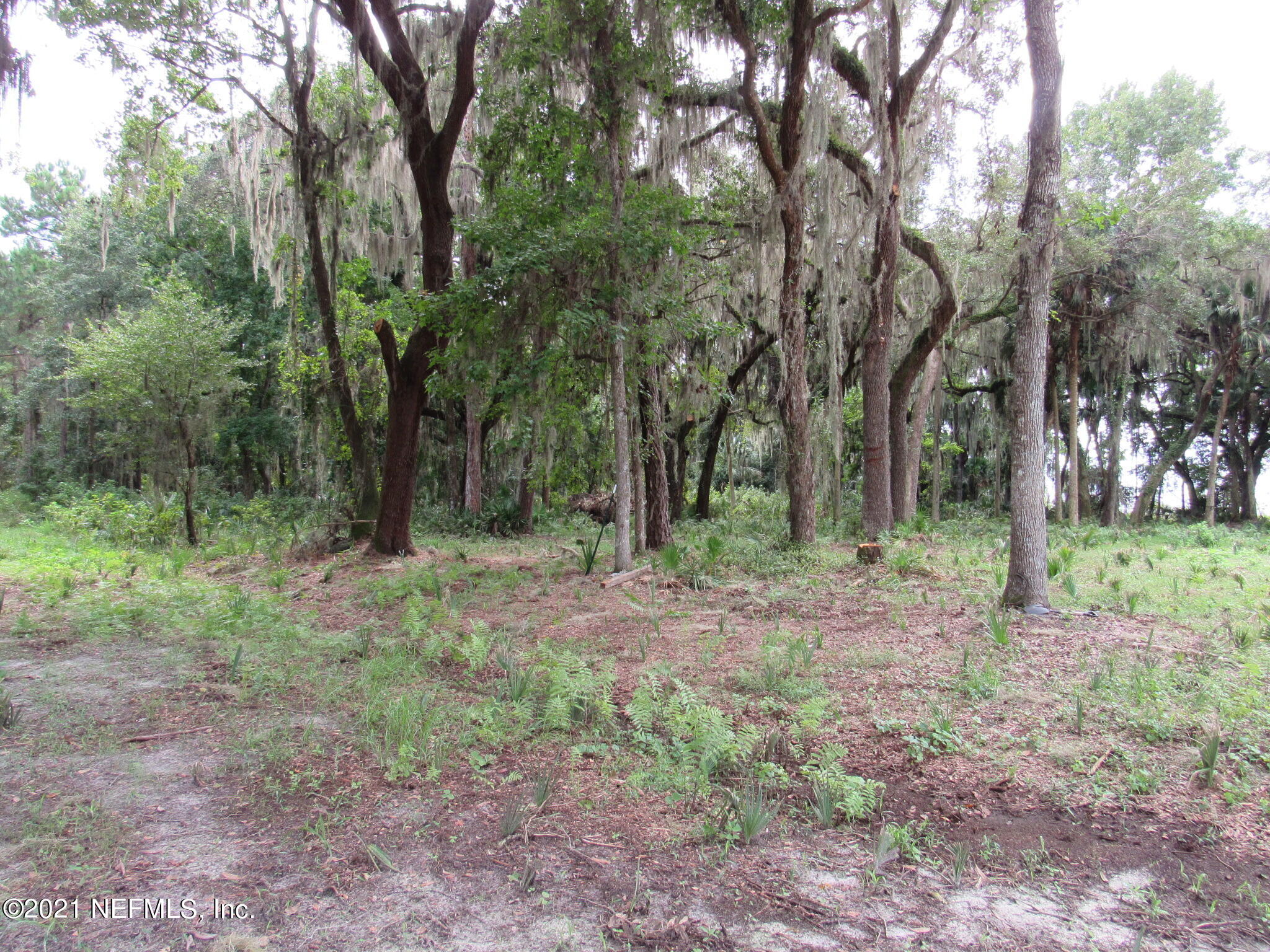 125 Atkins Road Georgetown, FL 32139 - Photo 8 of 49 IMG_7139