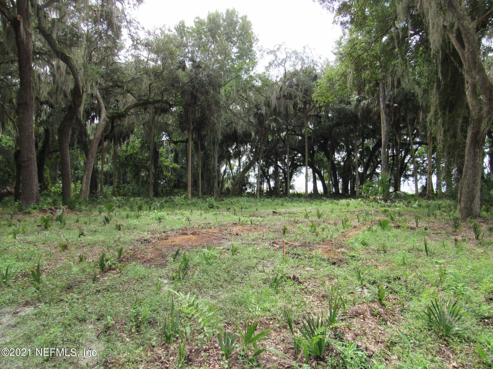 125 Atkins Road Georgetown, FL 32139 - Photo 10 of 49 IMG_7141