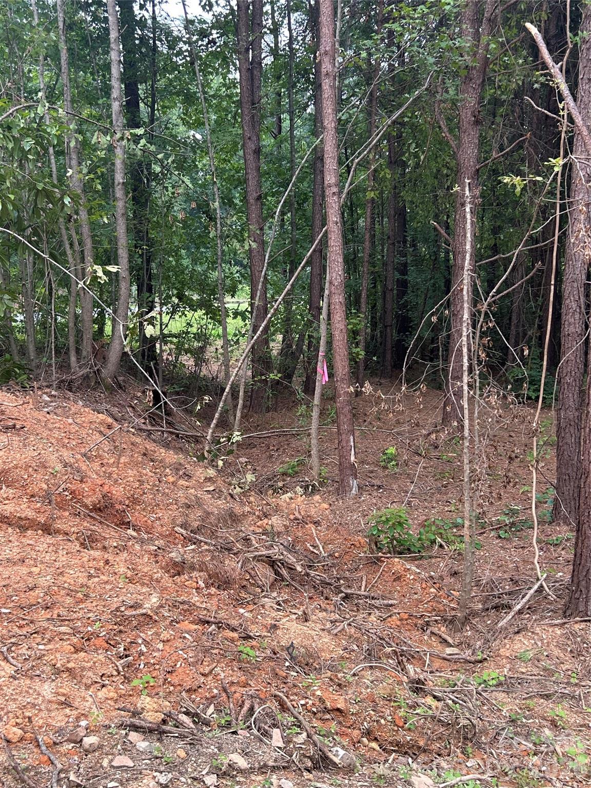40896 Southbound Road Albemarle, NC 28001 - Photo 6 of 7 Gallery Image 6